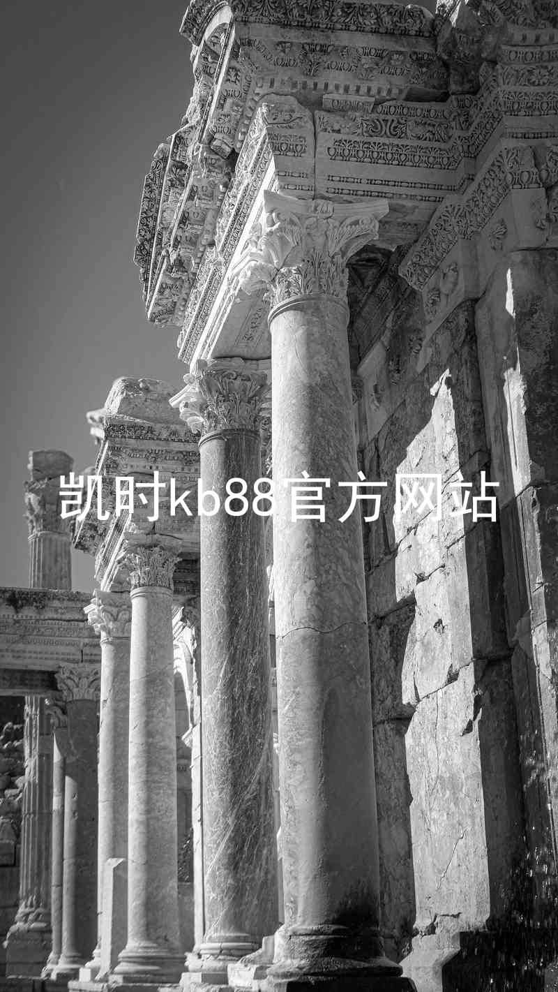 凯时kb88官方网站