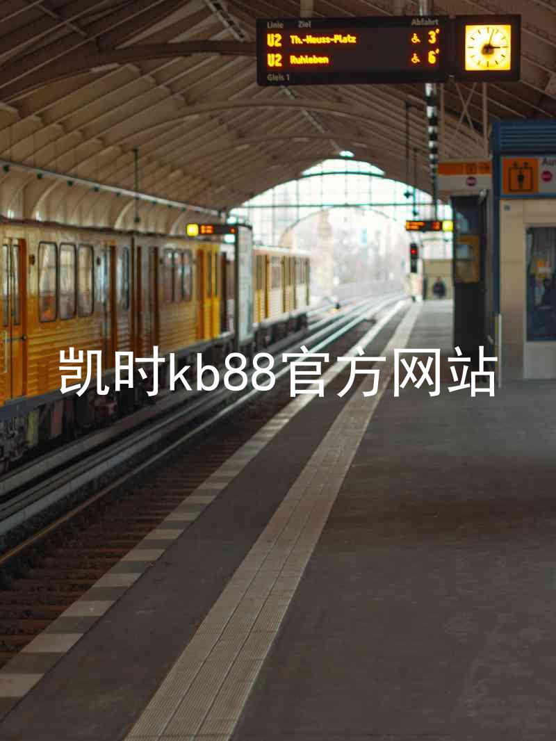 凯时kb88官方网站